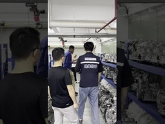 Los clientes árabes vinieron a visitar nuestra fábrica